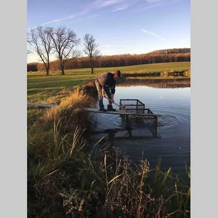 Irenes Tinyhouse 펜션 마크트놀드하임