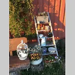 בית נופש Irenes Tinyhouse *