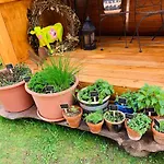 Дом отдыха Irenes Tinyhouse *