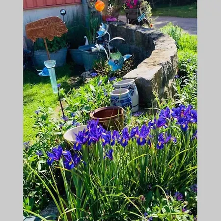 Irenes Tinyhouse Tatil Evi Markt Nordheim
